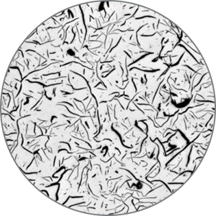 Microscopic image of the microstructure of gray iron.